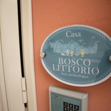 Le Dimore Di Ulisse A Gela - Casa Vacanze B&B - Bosco Littorio - Area Archeologica Extérieur photo